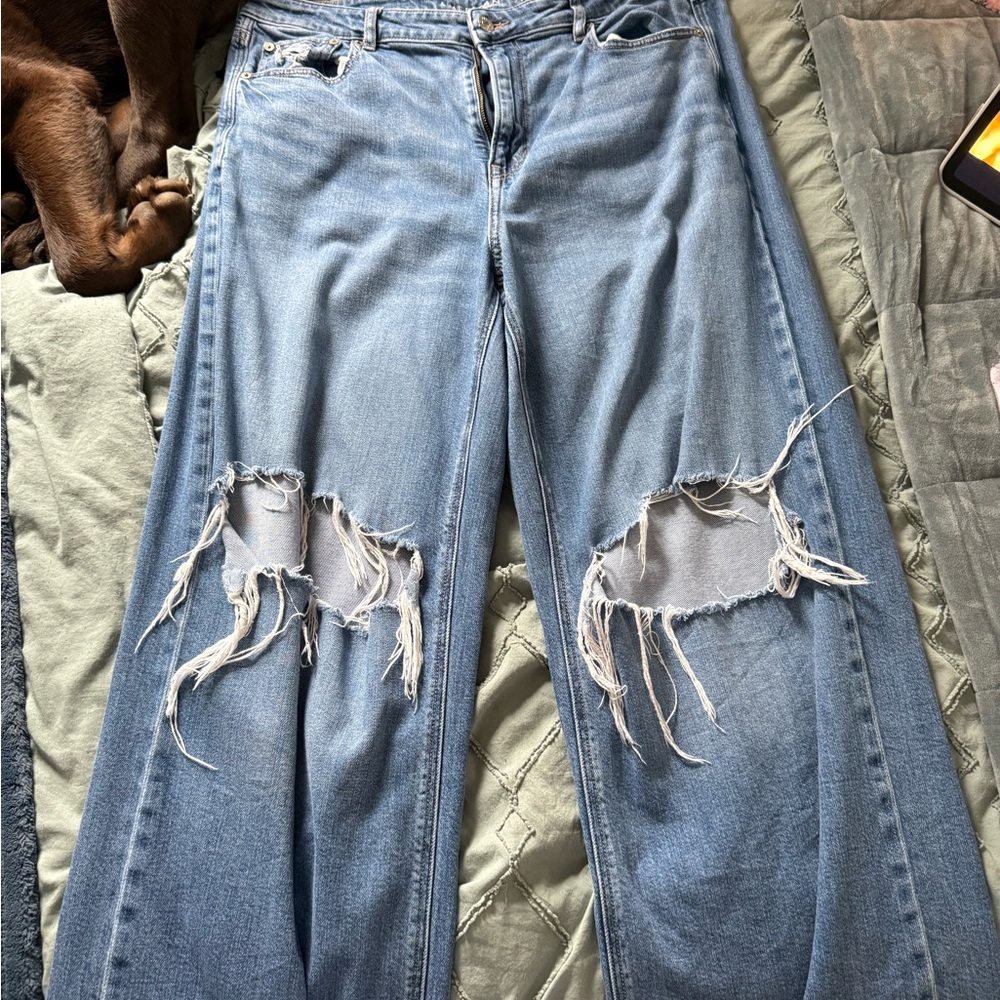 American Eagle Outfitters Light Blue Distressed Wide Leg Jeans